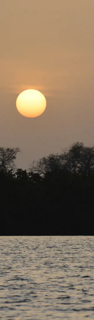 Sonnenuntergang im Saloum Delta